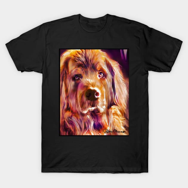 Sweet Face Newfoundland Dog T-Shirt by petrasart